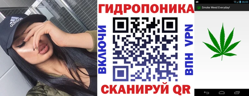 Где купить наркотики Елизово Галлюциногенные грибы  Меф  MDMA  ГАШ  Марихуана  Cocaine 