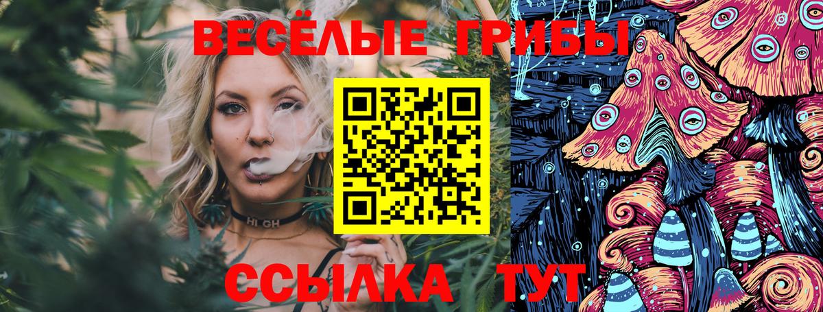 Галлюциногенные грибы Psilocybine cubensis  Вход с VPN  Елизово 