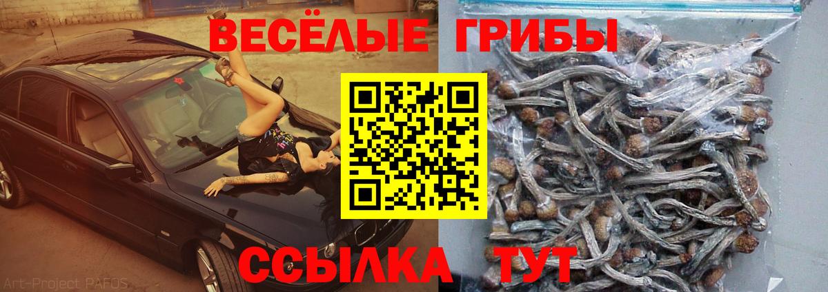 Галлюциногенные грибы GOLDEN TEACHER Елизово